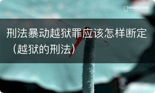 刑法暴动越狱罪应该怎样断定（越狱的刑法）