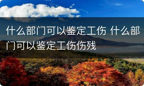 什么部门可以鉴定工伤 什么部门可以鉴定工伤伤残