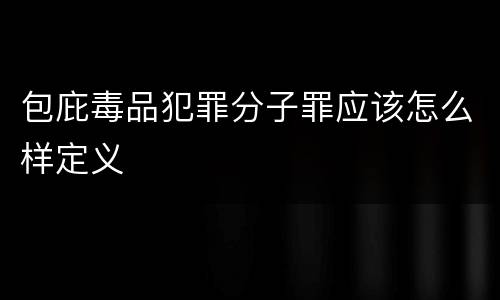 包庇毒品犯罪分子罪应该怎么样定义