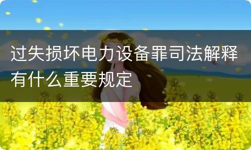 过失损坏电力设备罪司法解释有什么重要规定