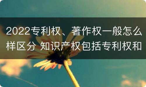 2022专利权、著作权一般怎么样区分 知识产权包括专利权和著作权吗