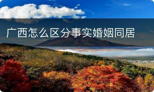 广西怎么区分事实婚姻同居