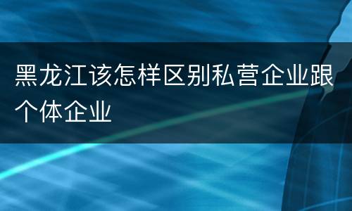 黑龙江该怎样区别私营企业跟个体企业