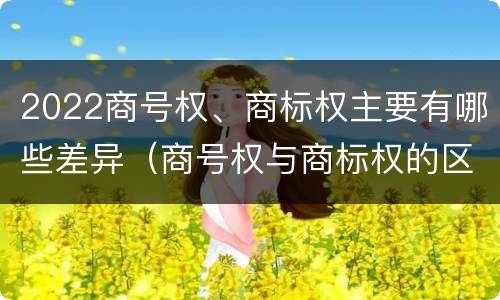 2022商号权、商标权主要有哪些差异（商号权与商标权的区别）