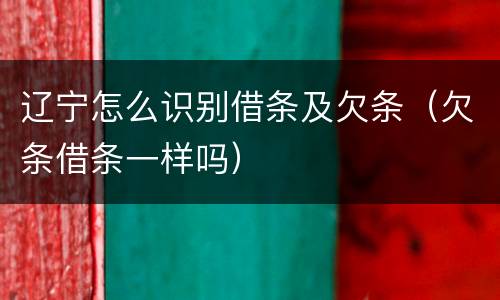 辽宁怎么识别借条及欠条（欠条借条一样吗）
