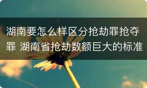 湖南要怎么样区分抢劫罪抢夺罪 湖南省抢劫数额巨大的标准