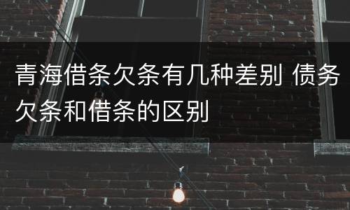 青海借条欠条有几种差别 债务欠条和借条的区别