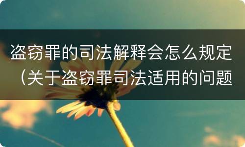 盗窃罪的司法解释会怎么规定（关于盗窃罪司法适用的问题）