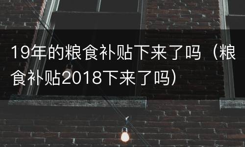 19年的粮食补贴下来了吗（粮食补贴2018下来了吗）