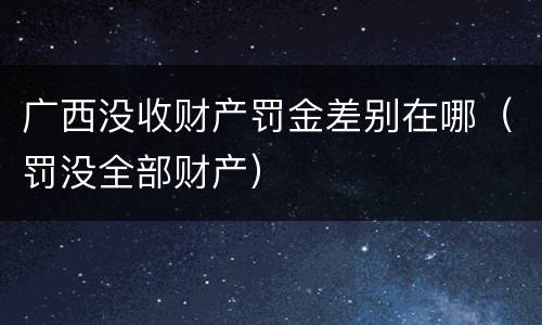 广西没收财产罚金差别在哪（罚没全部财产）