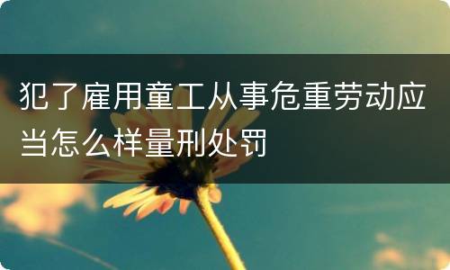 犯了雇用童工从事危重劳动应当怎么样量刑处罚