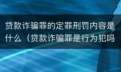 贷款诈骗罪的定罪刑罚内容是什么（贷款诈骗罪是行为犯吗）