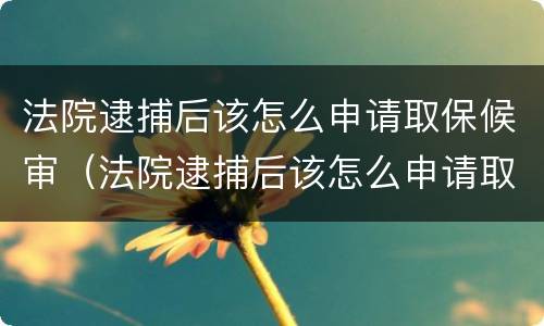 法院逮捕后该怎么申请取保候审（法院逮捕后该怎么申请取保候审呢）