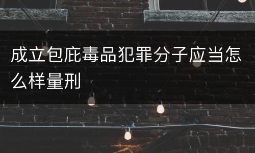 成立包庇毒品犯罪分子应当怎么样量刑