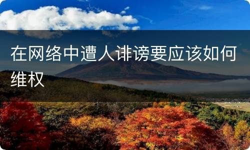 在网络中遭人诽谤要应该如何维权
