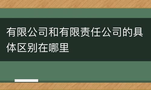 有限公司和有限责任公司的具体区别在哪里