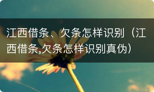 江西借条、欠条怎样识别（江西借条,欠条怎样识别真伪）