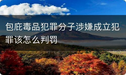 包庇毒品犯罪分子涉嫌成立犯罪该怎么判罚