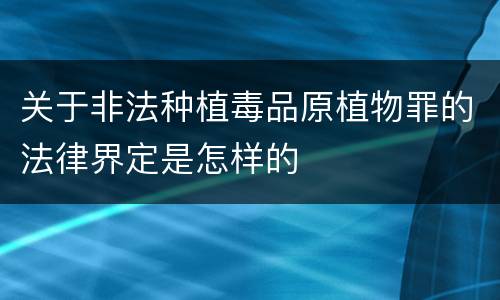 关于非法种植毒品原植物罪的法律界定是怎样的