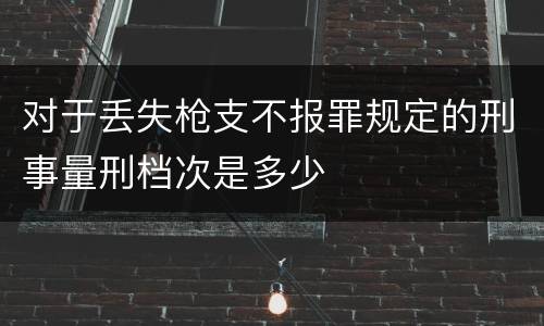 对于丢失枪支不报罪规定的刑事量刑档次是多少