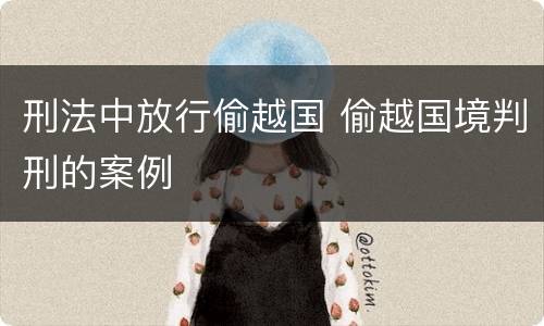 刑法中放行偷越国 偷越国境判刑的案例