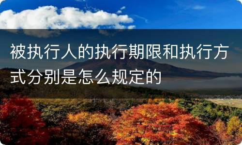 被执行人的执行期限和执行方式分别是怎么规定的