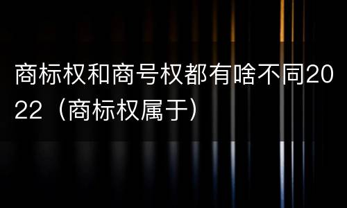 商标权和商号权都有啥不同2022（商标权属于）
