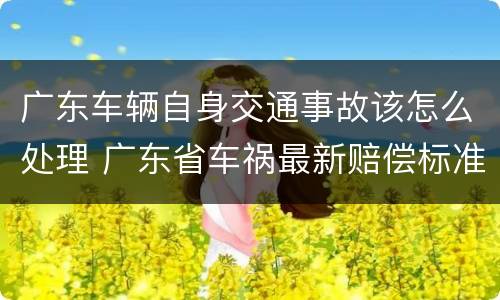 广东车辆自身交通事故该怎么处理 广东省车祸最新赔偿标准