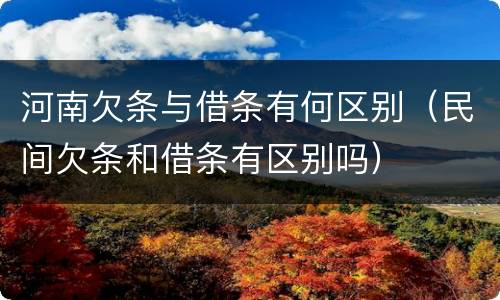 河南欠条与借条有何区别（民间欠条和借条有区别吗）