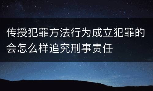 传授犯罪方法行为成立犯罪的会怎么样追究刑事责任