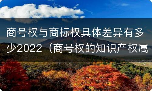 商号权与商标权具体差异有多少2022（商号权的知识产权属性）