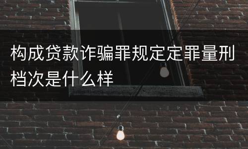 构成贷款诈骗罪规定定罪量刑档次是什么样