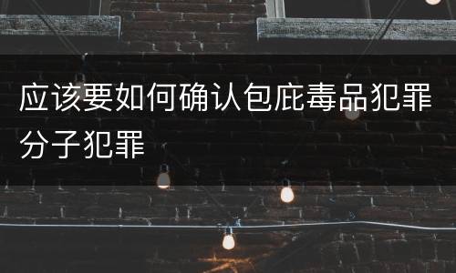 应该要如何确认包庇毒品犯罪分子犯罪