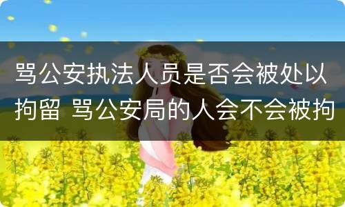 骂公安执法人员是否会被处以拘留 骂公安局的人会不会被拘留