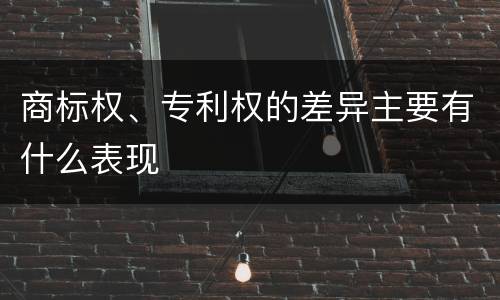 商标权、专利权的差异主要有什么表现