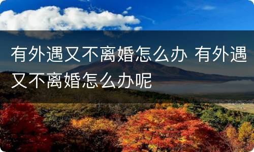 有外遇又不离婚怎么办 有外遇又不离婚怎么办呢