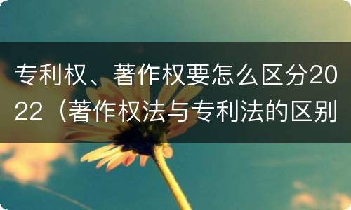 专利权、著作权要怎么区分2022（著作权法与专利法的区别）