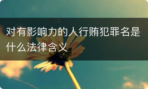 对有影响力的人行贿犯罪名是什么法律含义