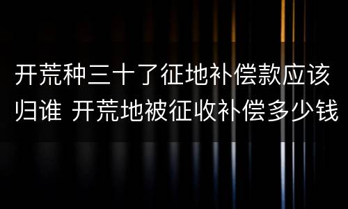 开荒种三十了征地补偿款应该归谁 开荒地被征收补偿多少钱