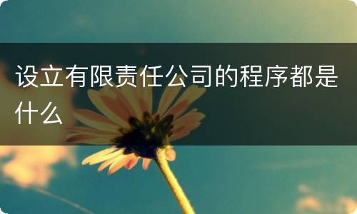 设立有限责任公司的程序都是什么