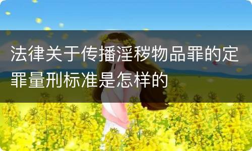 法律关于传播淫秽物品罪的定罪量刑标准是怎样的