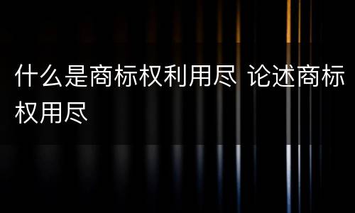 什么是商标权利用尽 论述商标权用尽