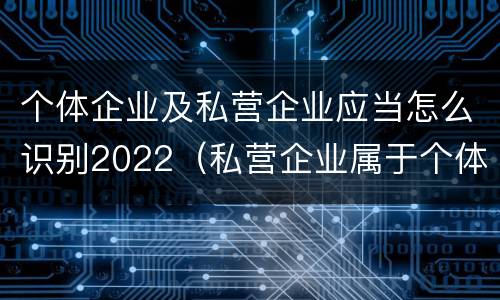 个体企业及私营企业应当怎么识别2022（私营企业属于个体经营吗）