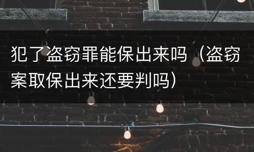 犯了盗窃罪能保出来吗（盗窃案取保出来还要判吗）