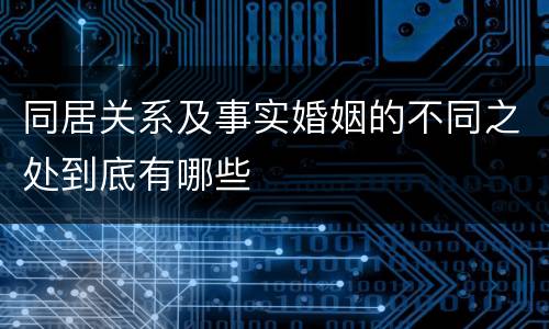 同居关系及事实婚姻的不同之处到底有哪些