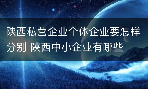 陕西私营企业个体企业要怎样分别 陕西中小企业有哪些