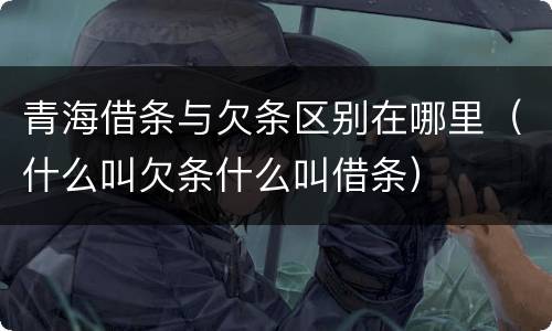 青海借条与欠条区别在哪里（什么叫欠条什么叫借条）