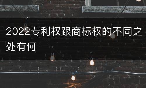 2022专利权跟商标权的不同之处有何