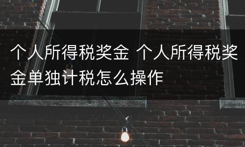 个人所得税奖金 个人所得税奖金单独计税怎么操作