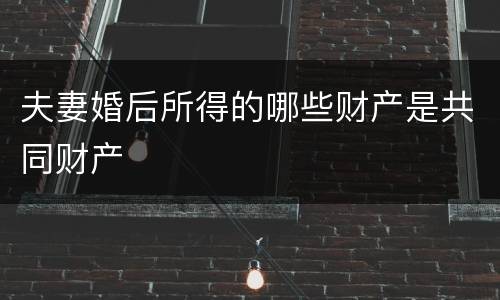 夫妻婚后所得的哪些财产是共同财产